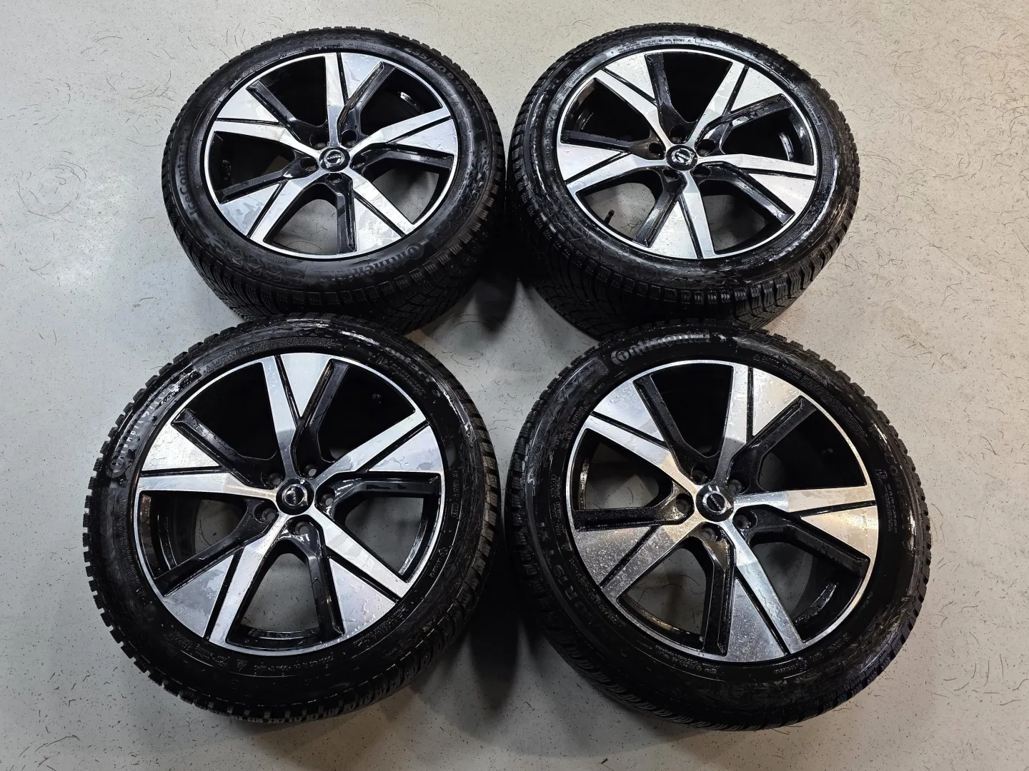 Autokuva 12 - EUP-219