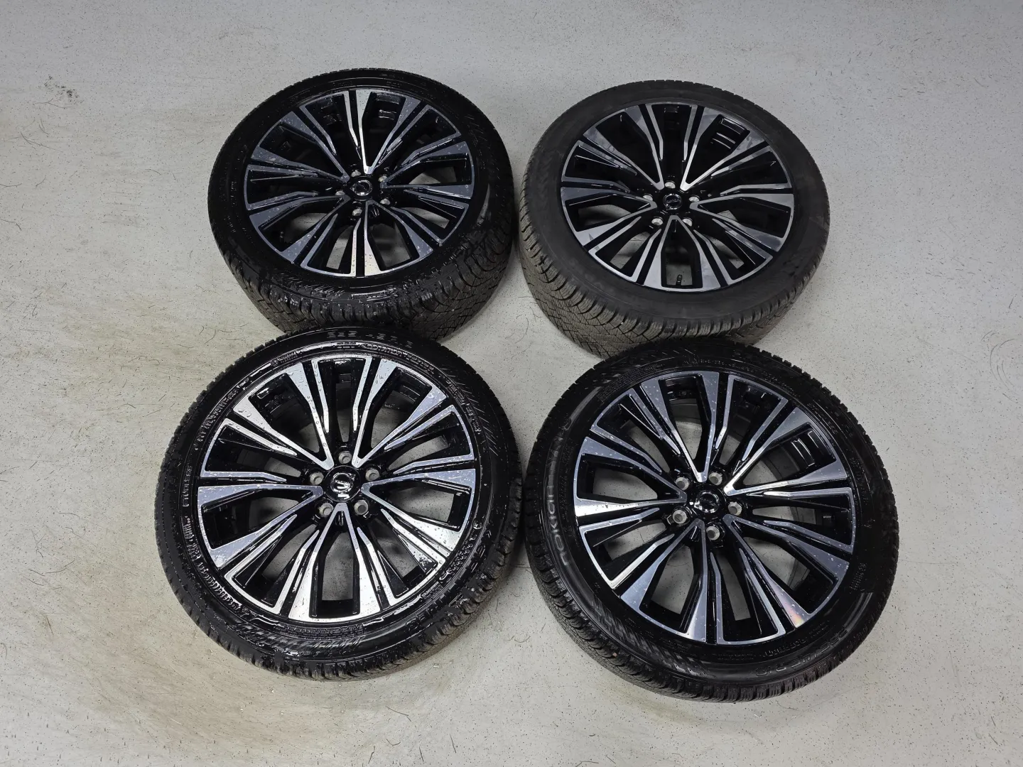 Autokuva 12 - XTM-310