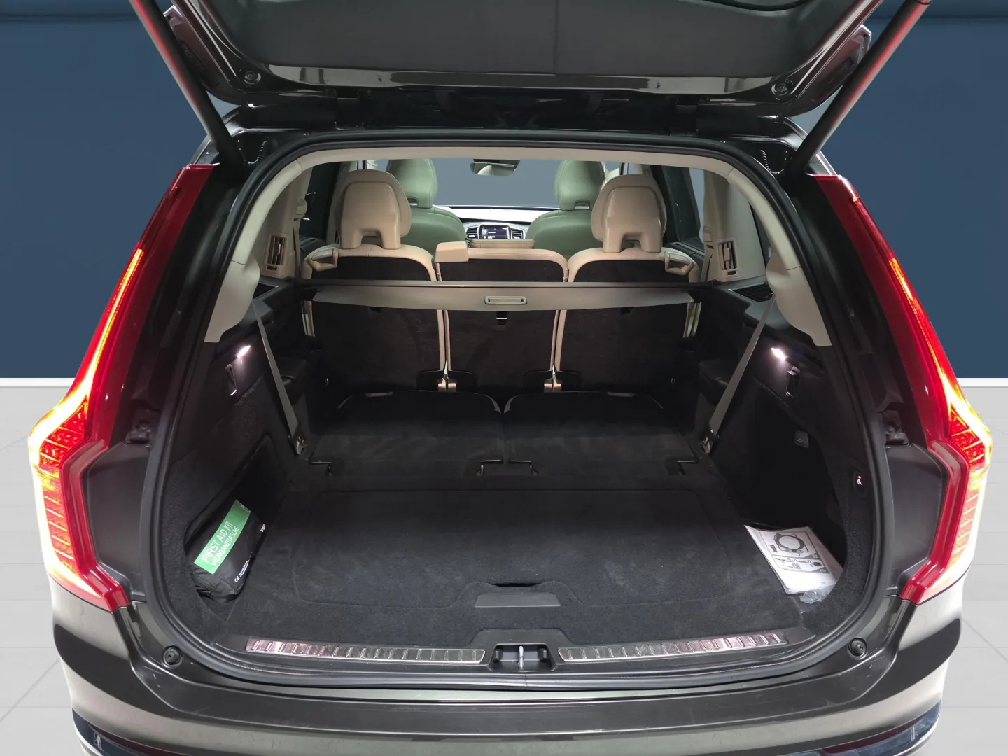 Autokuva 11 - ZOO-144